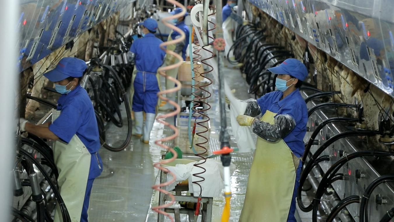 花花牛丨河南農業大學黨委副書記、校長介曉磊一行蒞臨花花牛河南瑞亞參觀調研