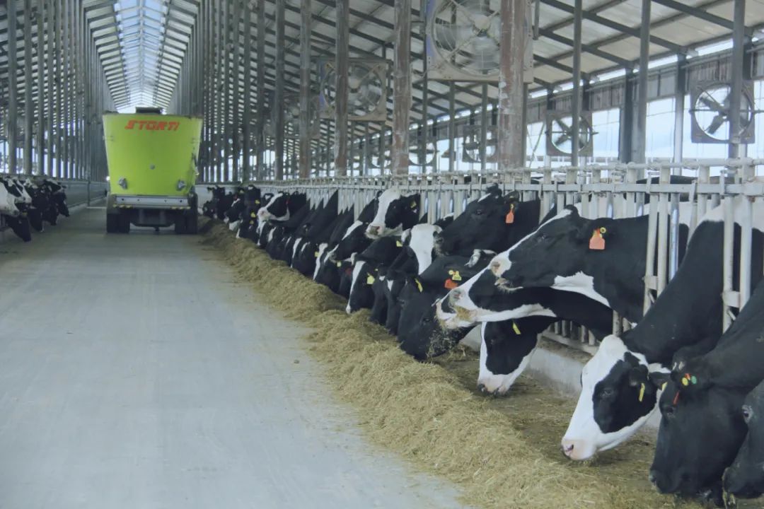 花花牛丨駐馬店市遂平縣政協(xié)黨組書(shū)記、主席張衛(wèi)東一行蒞臨花花牛魯山瑞亞牧場(chǎng)參觀 花花牛丨駐馬店市遂平縣政協(xié)黨組書(shū)記、主席張衛(wèi)東一行蒞臨花花牛魯山瑞亞牧場(chǎng)參觀