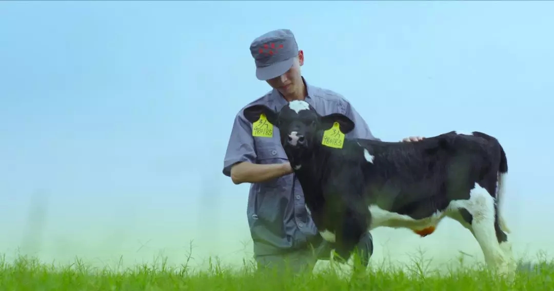 河南省人大常委會黨組書記、副主任孔昌生蒞臨花花牛魯山瑞亞牧場參觀調研 河南省人大常委會黨組書記、副主任孔昌生蒞臨花花牛魯山瑞亞牧場參觀調研