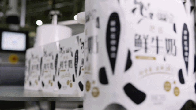 快訊 | 長江商學(xué)院智能制造學(xué)會走進花花牛乳業(yè)集團 快訊 | 長江商學(xué)院智能制造學(xué)會走進花花牛乳業(yè)集團