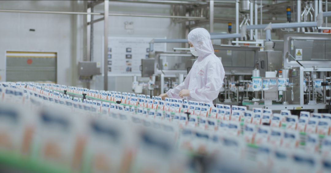 快訊 | 河南省人民政府食品安全委員會辦公室第三批食品安全示范區(qū)驗收組領(lǐng)導(dǎo)蒞臨花花牛乳業(yè)集團(tuán)驗收食品安全示范區(qū)建設(shè)情況 快訊 | 河南省人民政府食品安全委員會辦公室第三批食品安全示范區(qū)驗收組領(lǐng)導(dǎo)蒞臨花花牛乳業(yè)集團(tuán)驗收食品安全示范區(qū)建設(shè)情況