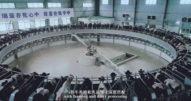 快訊 | 河南省委常委、省紀(jì)委書記、省監(jiān)委主任任正曉蒞臨花花牛乳業(yè)集團(tuán)新蔡瑞亞牧場(chǎng)調(diào)研 快訊 | 河南省委常委、省紀(jì)委書記、省監(jiān)委主任任正曉蒞臨花花牛乳業(yè)集團(tuán)新蔡瑞亞牧場(chǎng)調(diào)研