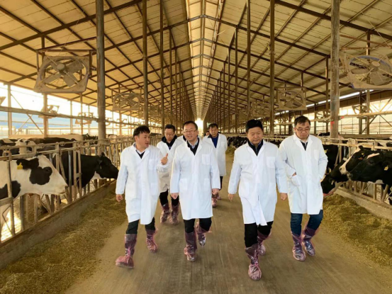 寧夏回族自治區(qū)農(nóng)業(yè)農(nóng)村廳黨組書記、廳長王剛一行蒞臨花花牛乳業(yè)集團(tuán)調(diào)研 寧夏回族自治區(qū)農(nóng)業(yè)農(nóng)村廳黨組書記、廳長王剛一行蒞臨花花牛乳業(yè)集團(tuán)調(diào)研