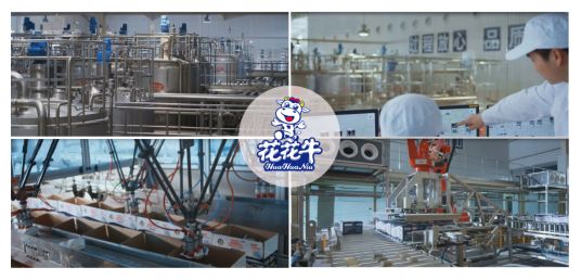 榮獲全國“質量月”五項大獎,花花牛真牛! 榮獲全國“質量月”五項大獎,花花牛真牛!