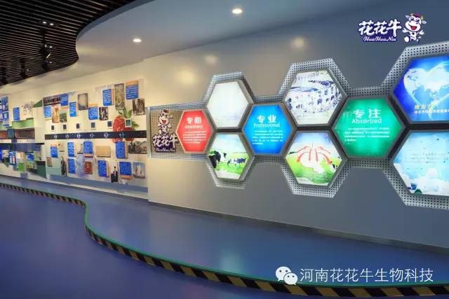 花花牛:務實、創新領潮市場 大企業體現大擔當 花花牛:務實、創新領潮市場 大企業體現大擔當