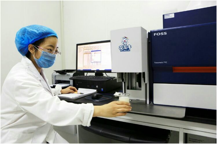 花花牛:務實、創新領潮市場 大企業體現大擔當 花花牛:務實、創新領潮市場 大企業體現大擔當